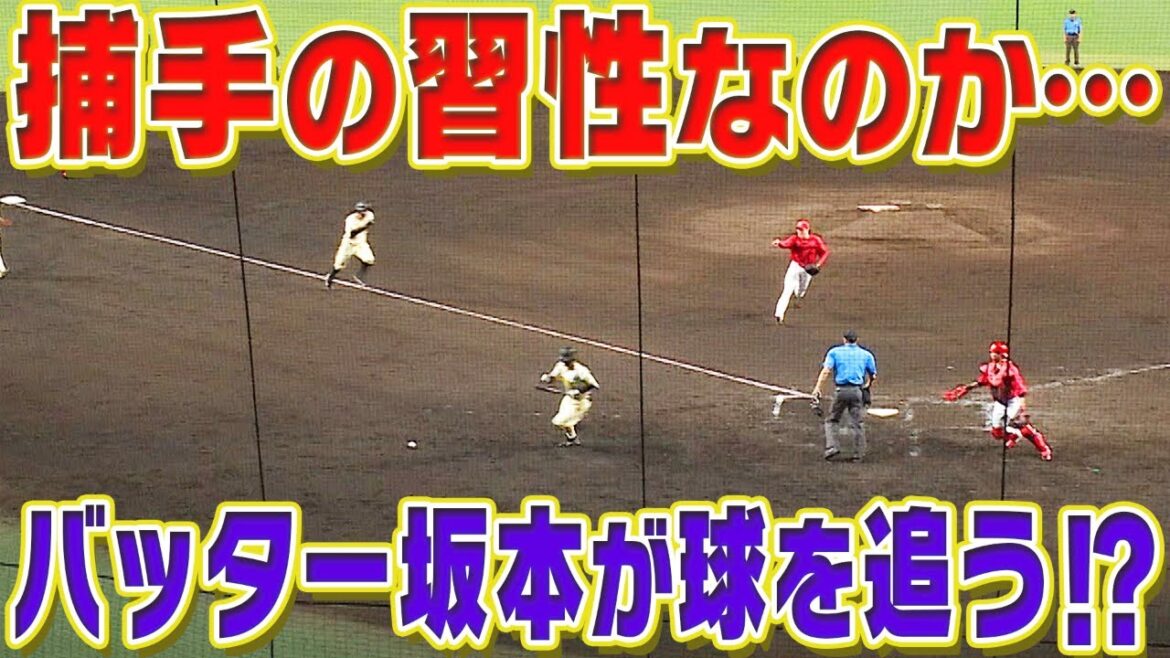 【打席で…】捕手の習性が出ちゃった！？坂本誠志郎の打席での行動が話題に！阪神タイガース密着！応援番組「虎バン」ABCテレビ公式チャンネル