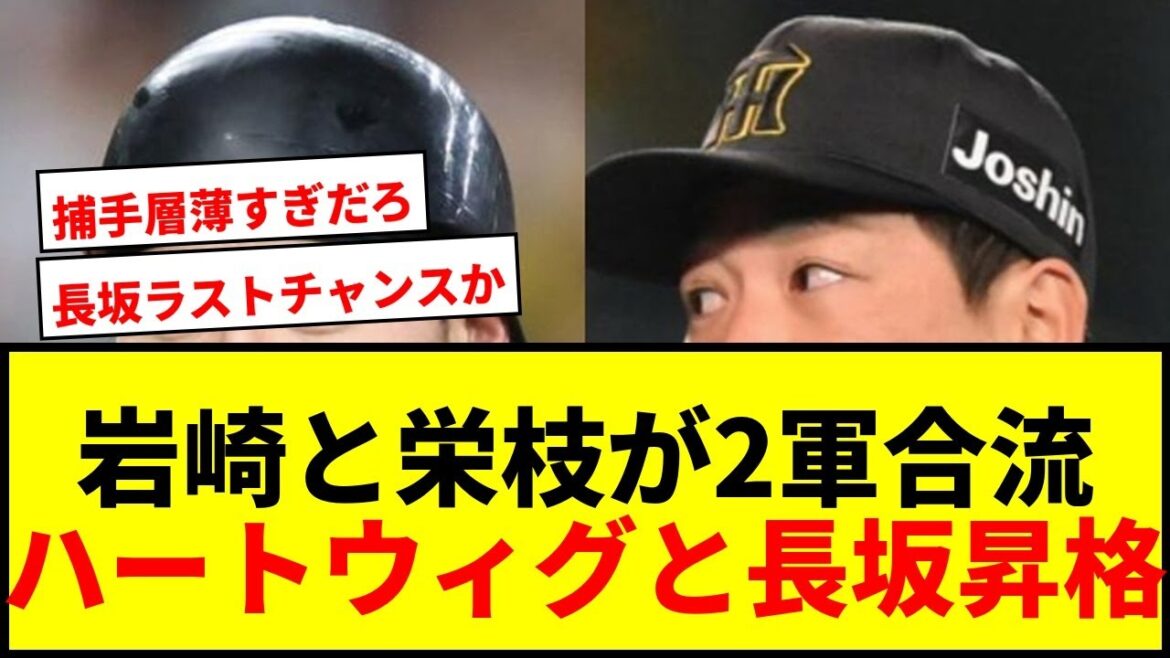 【速報】阪神・岩崎優と栄枝裕貴が2軍合流！ハートウィグと長坂が昇格へ！