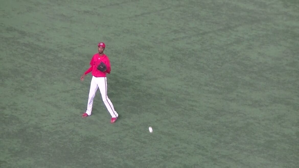 アドゥワ誠の試合前のキャッチボール2024年8月22日 東京ドーム