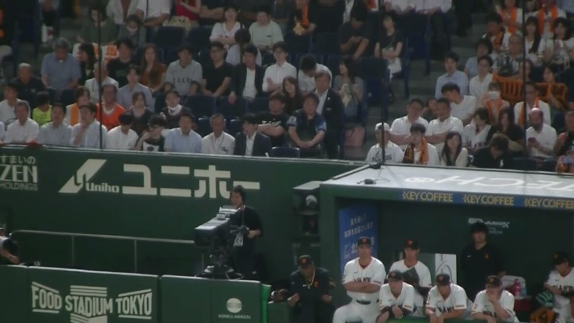ベンチで応援する巨人選手たち（読売ジャイアンツ対 西武ライオンズ 2025年6月20日）