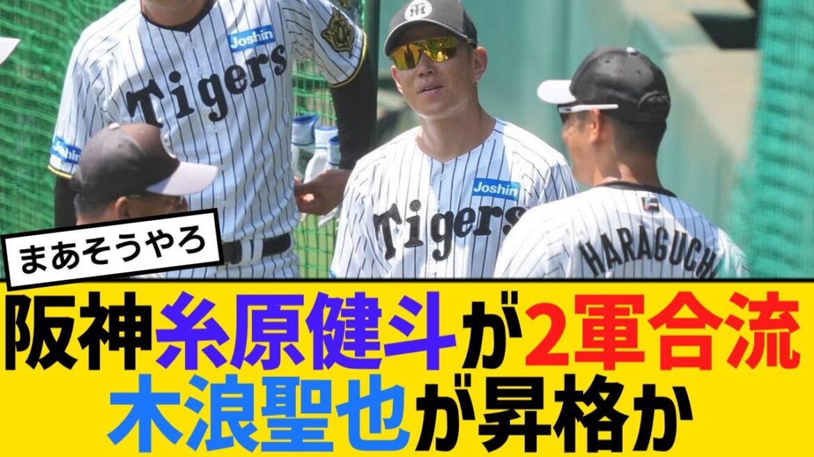 阪神・糸原健斗が2軍合流、木浪聖也が昇格か【野球】【反応】【考察】