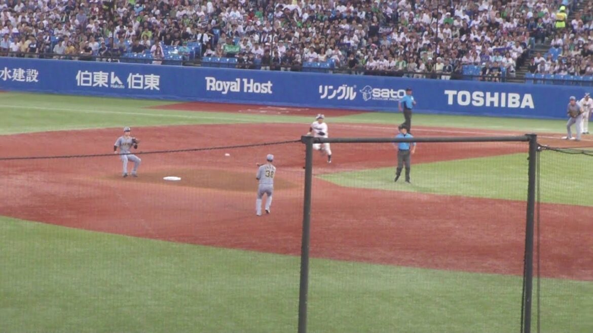 阪神 小幡竜平のキャッチによる、643のダブルプレー　ヤクルト vs 阪神　2025年8月3日(日)　神宮球場