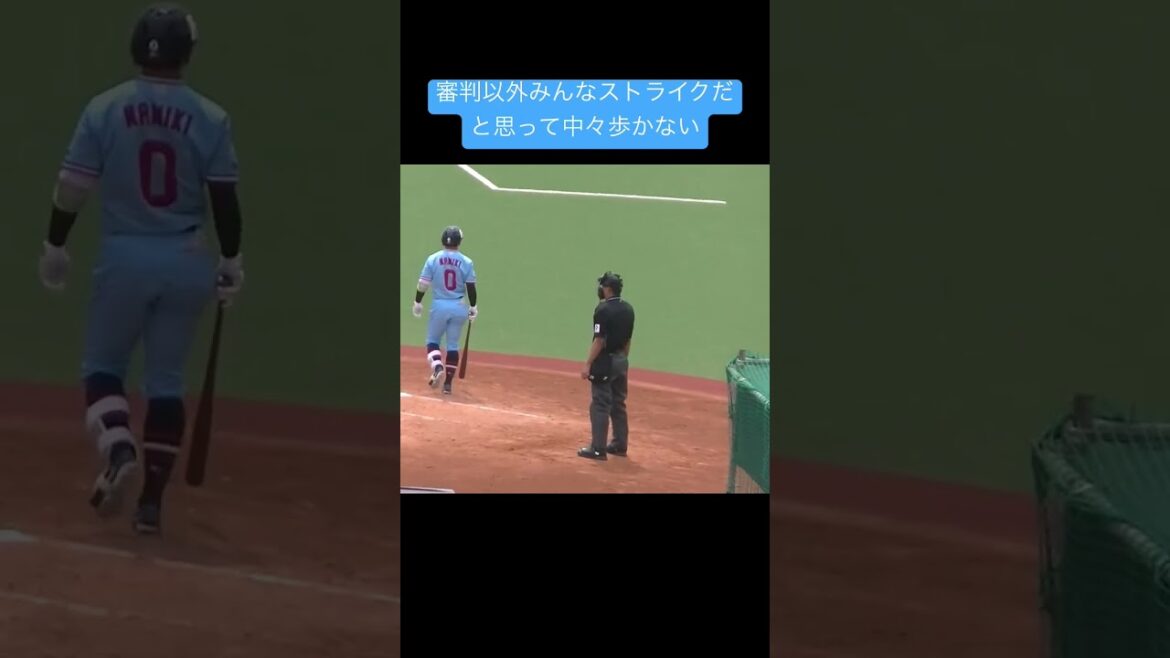 並木秀尊の打席〜審判以外みんなストライクだと思って中々歩かない＜2軍・ヤクルトスワローズ対 西武ライオンズ  2024年5月26日＞