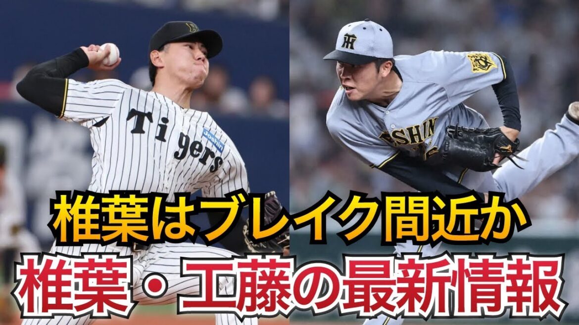 速球派コンビが対照的な状況に...。椎葉＆工藤の最新情報がこちら【阪神タイガース】