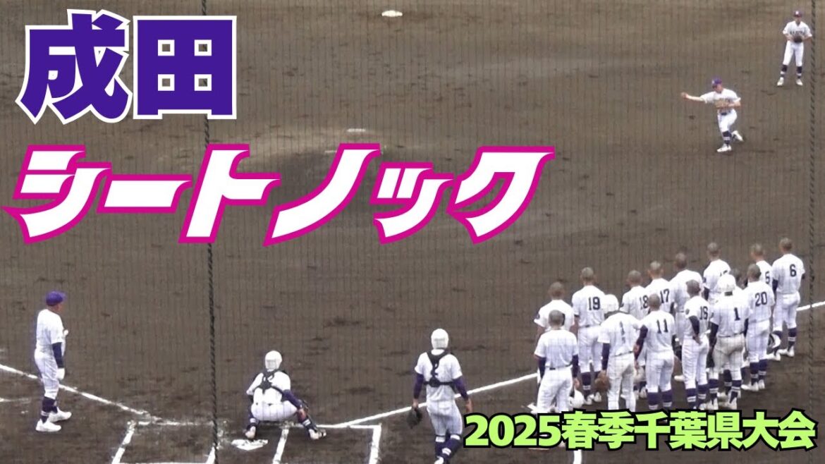 【2025春季千葉県大会】千葉黎明との2回戦に臨む成田のシートノック(2025春季千葉県大会 成田vs千葉黎明) 【2025春季千葉県大会】千葉黎明との2回戦に臨む成田のシートノック(2025春季千葉県大会 成田vs千葉黎明)
