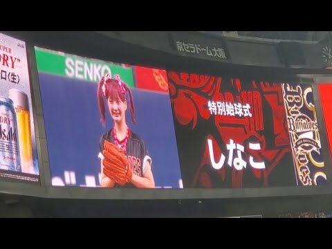 20250803 #しなこ 特別始球式 オリックス・バファローズ主催試合イベント@京セラドーム大阪・レフト外野下段 Bs夏の陣2025 20250803 #しなこ 特別始球式 オリックス・バファローズ主催試合イベント@京セラドーム大阪・レフト外野下段 Bs夏の陣2025