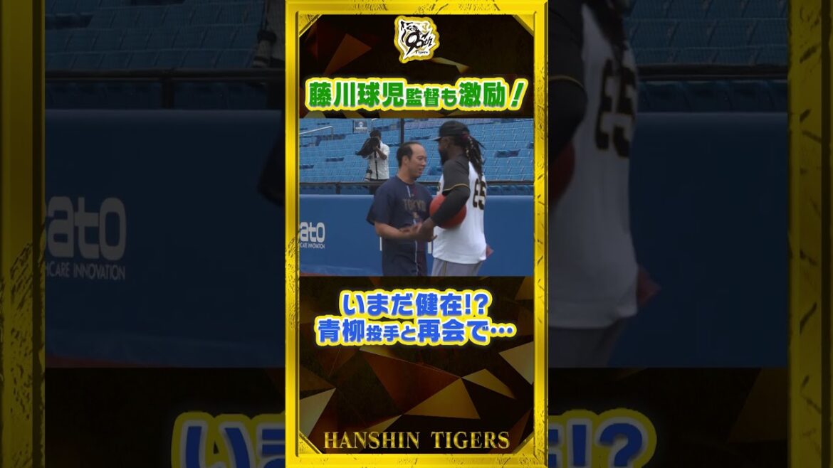 【再会】#藤川球児 監督も激励！挨拶に訪れた#青柳晃洋 選手とタイガースの選手たちが久しぶりの再会で会話に花を咲かせました！#shorts
