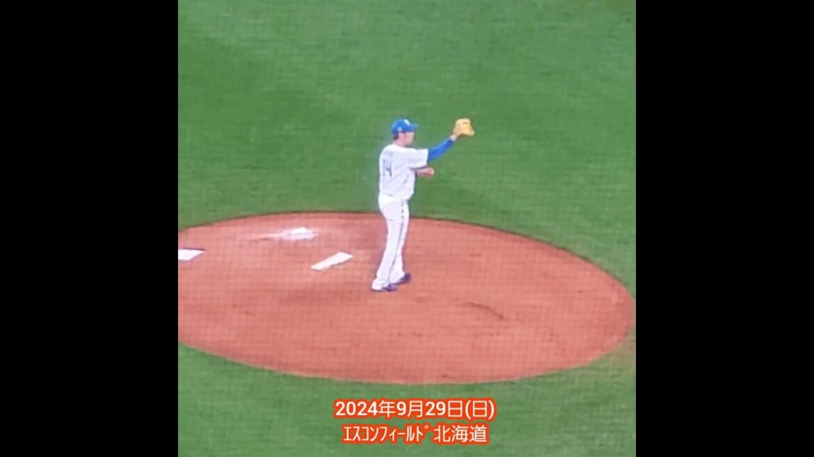 20240929　先発した加藤貴之の投球練習　#shorts　北海道日本ﾊﾑﾌｧｲﾀｰｽﾞ@ｴｽｺﾝﾌｨｰﾙﾄﾞHOKKAIDO･内野3塁側