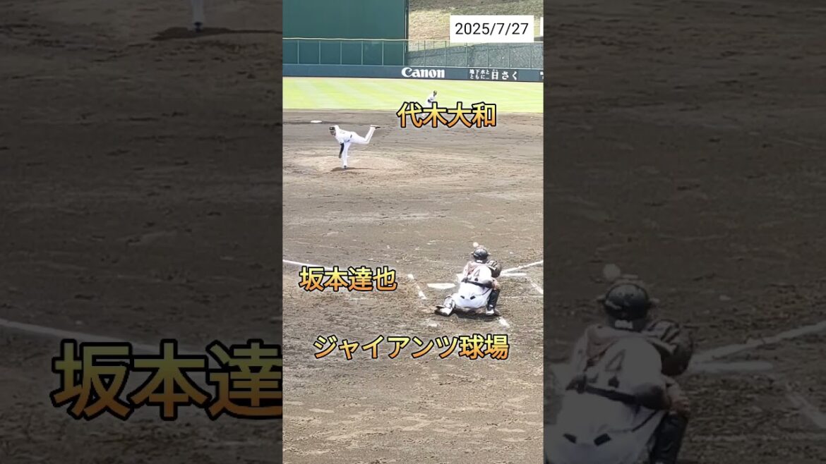 【GIANTS】 #代木大和 投手のピッチングフォーム #shorts #巨人 #ジャイアンツ #プロ野球
