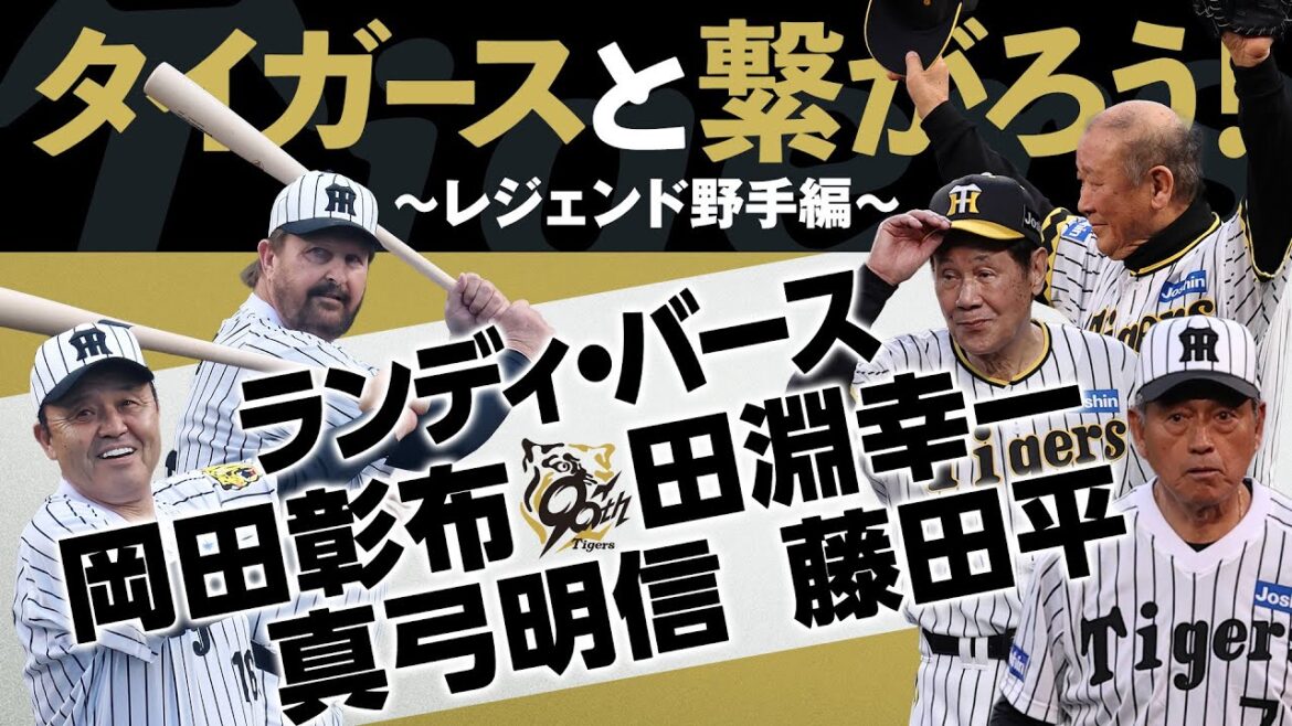 【質問に答えます！】タイガースと繋がろう！～レジェンド野手編～