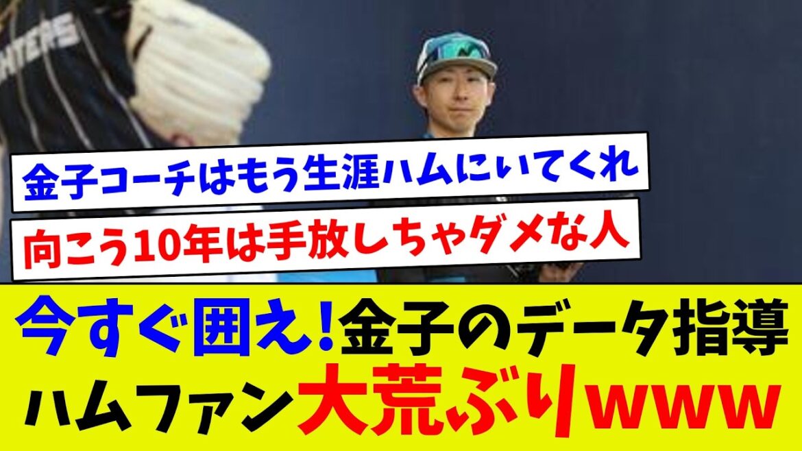 【データ分析・活用の申し子】今すぐ囲え！金子のデータ指導に日ハムファンが大荒ぶりwww