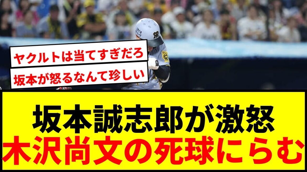 【衝撃】阪神坂本誠志郎が珍しく怒りあらわ!木沢尚文の死球にらみつける 【衝撃】阪神坂本誠志郎が珍しく怒りあらわ!木沢尚文の死球にらみつける