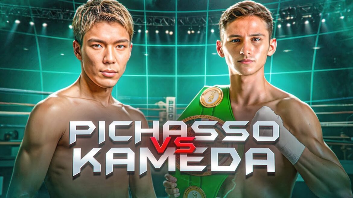 David Picasso vs Kyonosuke Kameda HIGHLIGHTS & KNOCKOUTS / BOXING KO FIGHT HD David Picasso vs Kyonosuke Kameda HIGHLIGHTS & KNOCKOUTS / BOXING KO FIGHT HD