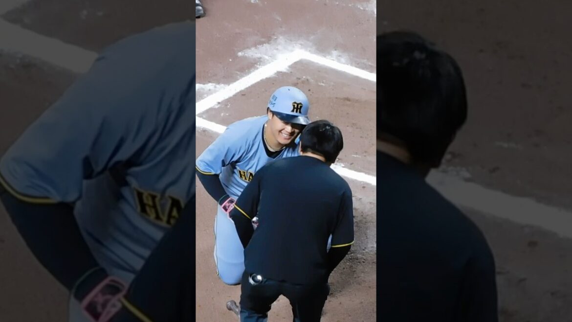 【笑顔の勝ち越し死球】大山悠輔 背中に死球を受けるも笑顔で出塁 押し出しで貴重な勝ち越し点をもたらす 【笑顔の勝ち越し死球】大山悠輔 背中に死球を受けるも笑顔で出塁 押し出しで貴重な勝ち越し点をもたらす