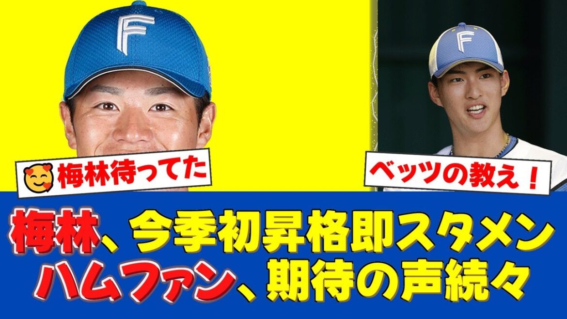 日本ハム・梅林優貴が今季初昇格！西武戦で達孝太とバッテリー結成へ。ドジャース・ベッツ直伝の打撃で首位争いに貢献なるか【日ハムファンの反応】【日ハム速報】