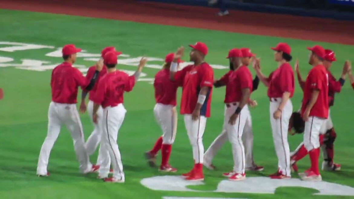 広島カープ勝利 外野ビジター勝利の宮島さん🎵→ハイパーユニオン🎵 2025.8.6 広島カープ勝利 外野ビジター勝利の宮島さん🎵→ハイパーユニオン🎵 2025.8.6