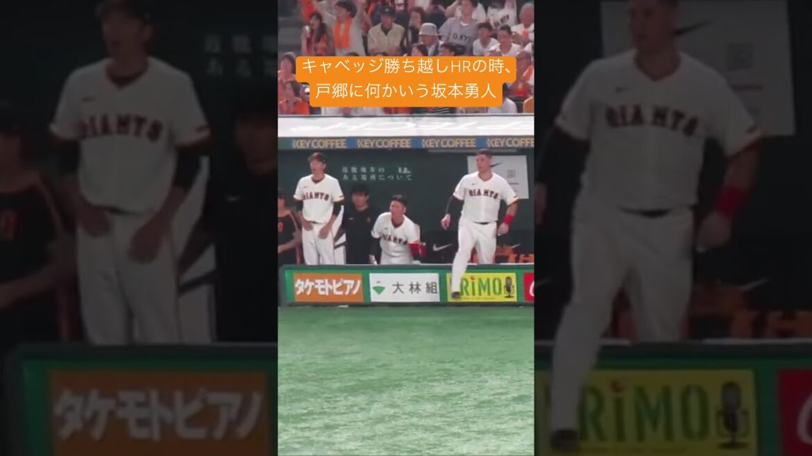 キャベッジ13号 勝ち越しスリーランの時の巨人ベンチ（読売ジャイアンツ対 ヤクルトスワローズ 2025年8月5日）