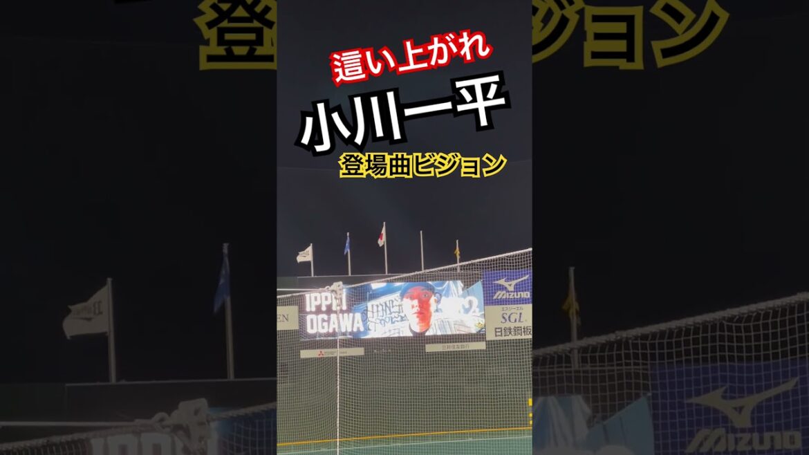 #tigers #小川一平 #阪神タイガース#hanshintigers #阪神 #阪神応援 #推し  #タイガース  #sglスタジアム尼崎  #猛虎