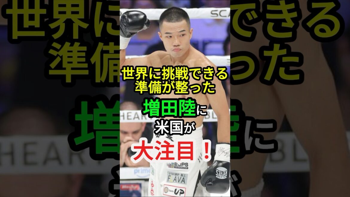 【米国が注目】日本王者、増田陸【ボクシング】 #格闘技 #boxing #バンタム級
