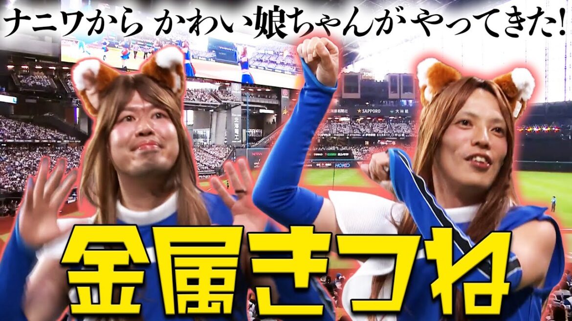 【金属きつね】ナニワからかわい娘ちゃんがやってきた！【#金属バッド の#きつねダンス 】