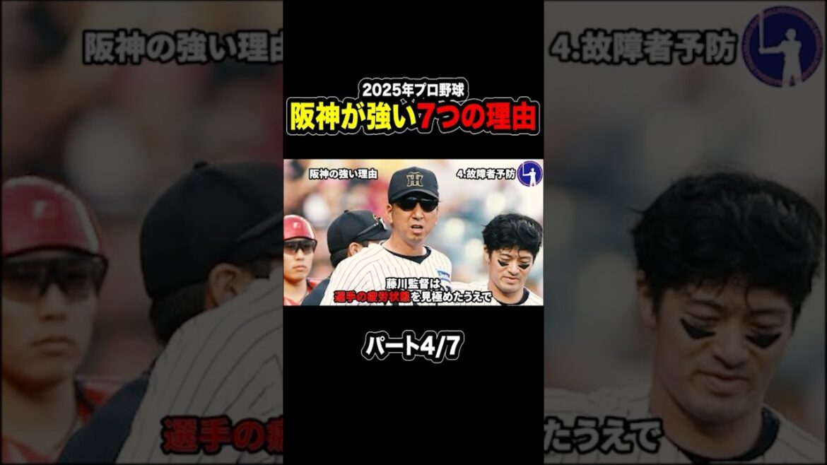 【なぜ独走?】阪神タイガースが強い7つの理由!パート4/7 #プロ野球 #baseball #野球 #阪神タイガース #藤川監督 【なぜ独走?】阪神タイガースが強い7つの理由!パート4/7 #プロ野球 #baseball #野球 #阪神タイガース #藤川監督