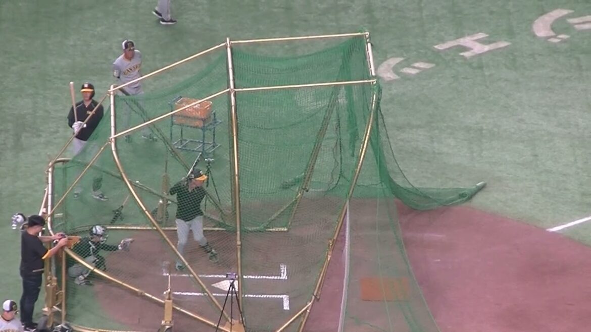 阪神タイガース長坂拳弥のフリーバッティング2024年8月13日 東京ドーム