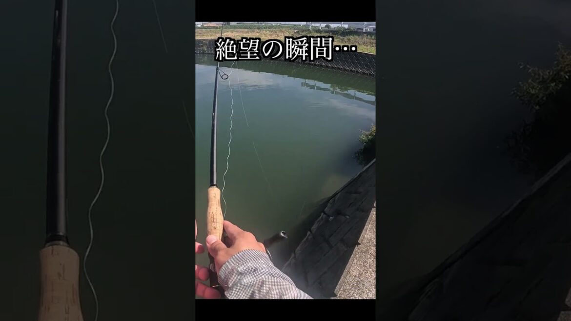 釣りしてただけなのに… 【バス釣り】 #shorts  #バス釣り