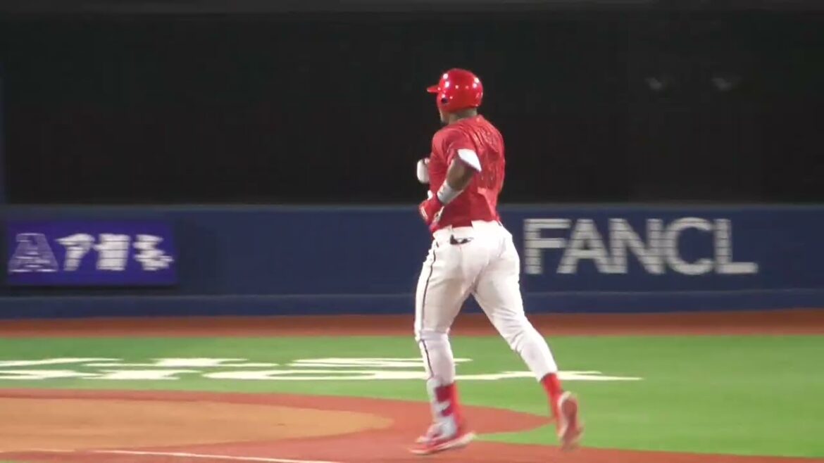 2025年8月5日 広島東洋 エレフリス・モンテロ 選手のホームラン判定後のシーン（ボールデッド中）