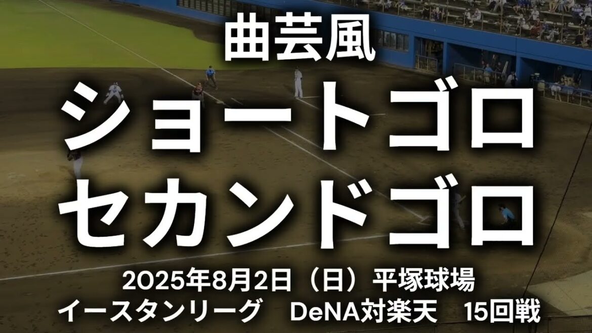 【曲芸みたいな二遊間】陽柏翔選手 平良竜哉選手