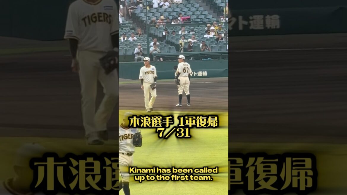 木浪選手が1軍復帰25/7/31 #木浪聖也 #阪神 #阪神タイガース #阪神ファン #hanshintigers #プロ野球 #甲子園 #野球 #ショート #シートノック #プロ野球選手
