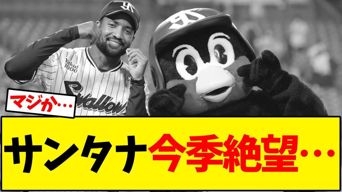【悲報】サンタナ今季絶望…【野球反応集】 【悲報】サンタナ今季絶望…【野球反応集】