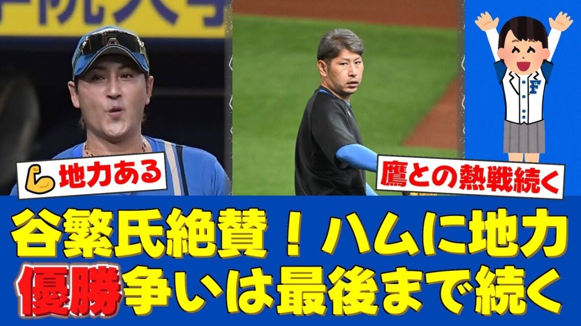 谷繁元信氏が日本ハムの強さを絶賛！「チーム力がある」と高評価。ソフトバンクとの優勝争いは「最後まで続く」と断言！【日ハムファンの反応】【日ハム速報】