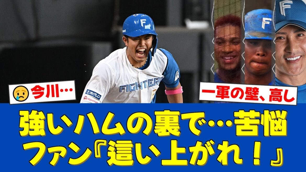 強いファイターズの裏で…プロ5年目の今川優馬が波に乗れない理由とは。2022年の10本塁打から一転、今季打率.143と苦しむ男の課題に迫る【日ハムファンの反応】【日ハム速報】 強いファイターズの裏で…プロ5年目の今川優馬が波に乗れない理由とは。2022年の10本塁打から一転、今季打率.143と苦しむ男の課題に迫る【日ハムファンの反応】【日ハム速報】