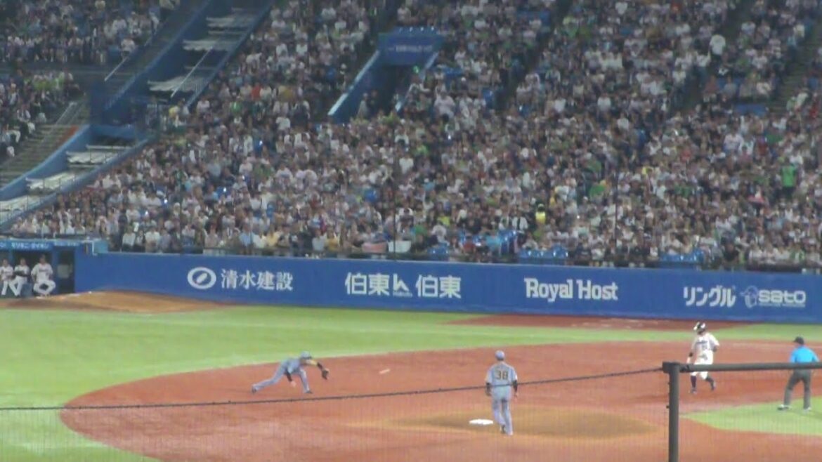 阪神 中野拓夢 ナイスプレーでダブルプレー　ヤクルト vs 阪神　2025年8月3日(日)　神宮球場