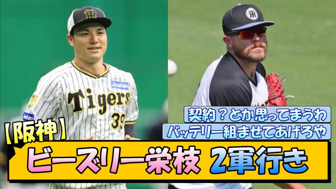 【阪神】ビーズリー栄枝 2軍行き