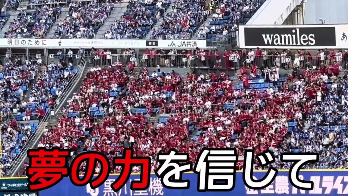 【広島東洋カープ】二俣翔一 選手応援歌