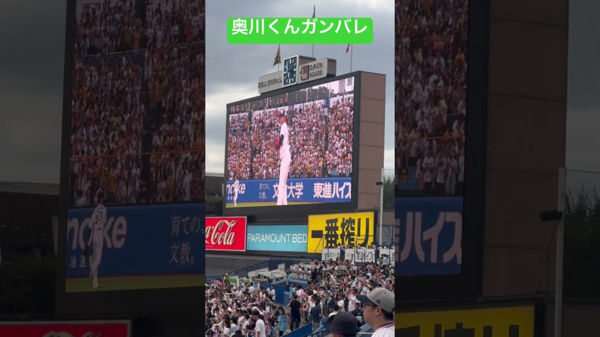 奥川恭伸選手ガンバレ！ヤクルトスワローズ