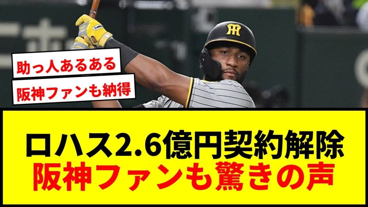 【衝撃】元阪神ロハスが2.6億円契約解除！韓国で復活も直近10戦打率0割台で「痛い投資失敗」