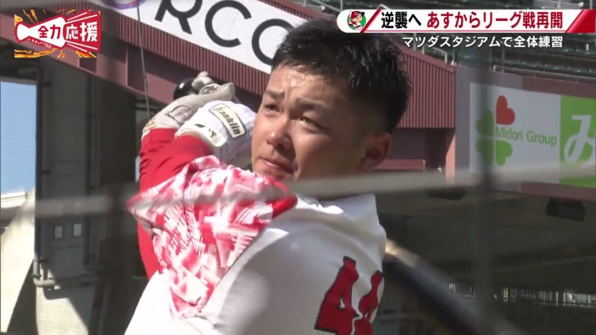 【ライクスポーツ】明日からリーグ戦再開！【球団認定】カープ全力応援チャンネル