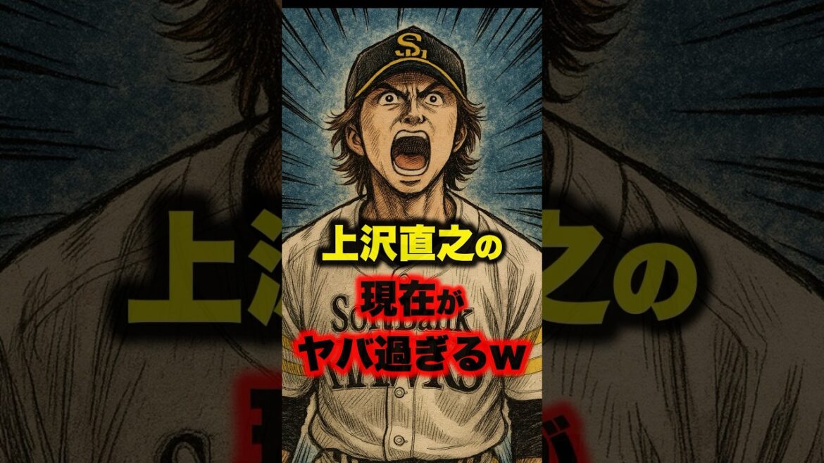▶︎  【上沢直之の現在がヤバすぎるw】