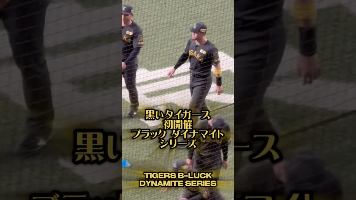 黒いタイガース25/8/8 #プロ野球 #阪神 #阪神タイガース #阪神ファン #佐藤輝明 #大山悠輔 #森下翔太 #近本光司 #木浪聖也 #中野拓夢 #黒 #ユニフォーム #野球選手 #大阪