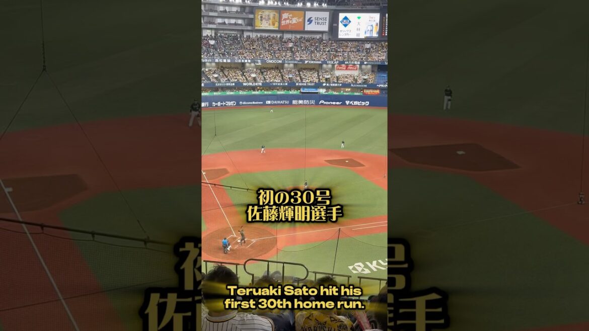佐藤輝明選手30号25/8/8 #阪神 #阪神タイガース #佐藤輝明 #プロ野球 #阪神ファン #京セラドーム #ホームラン #本塁打 #ホームラン王 #homerun #tigers