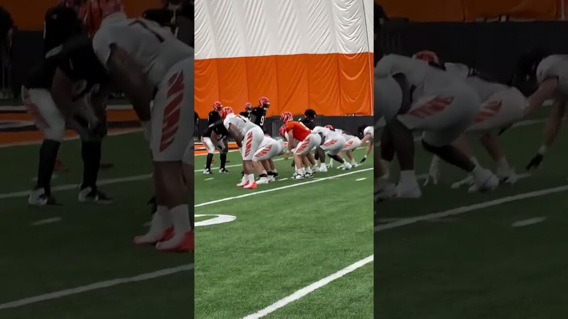 Shemar Stewart lines up inside, helps make red zone stop on Chase Brown