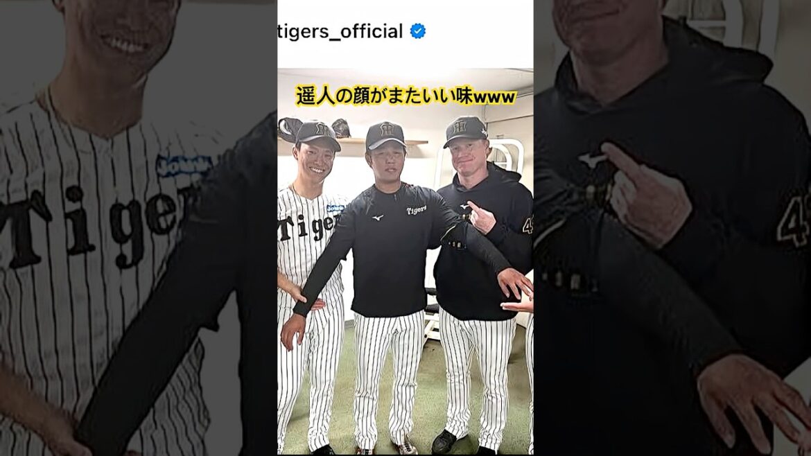 遂に髙橋遥人まで文春ネタに付き合わされてるwww #阪神タイガース #文春 #髙橋遥人 #佐藤輝明 #shorts