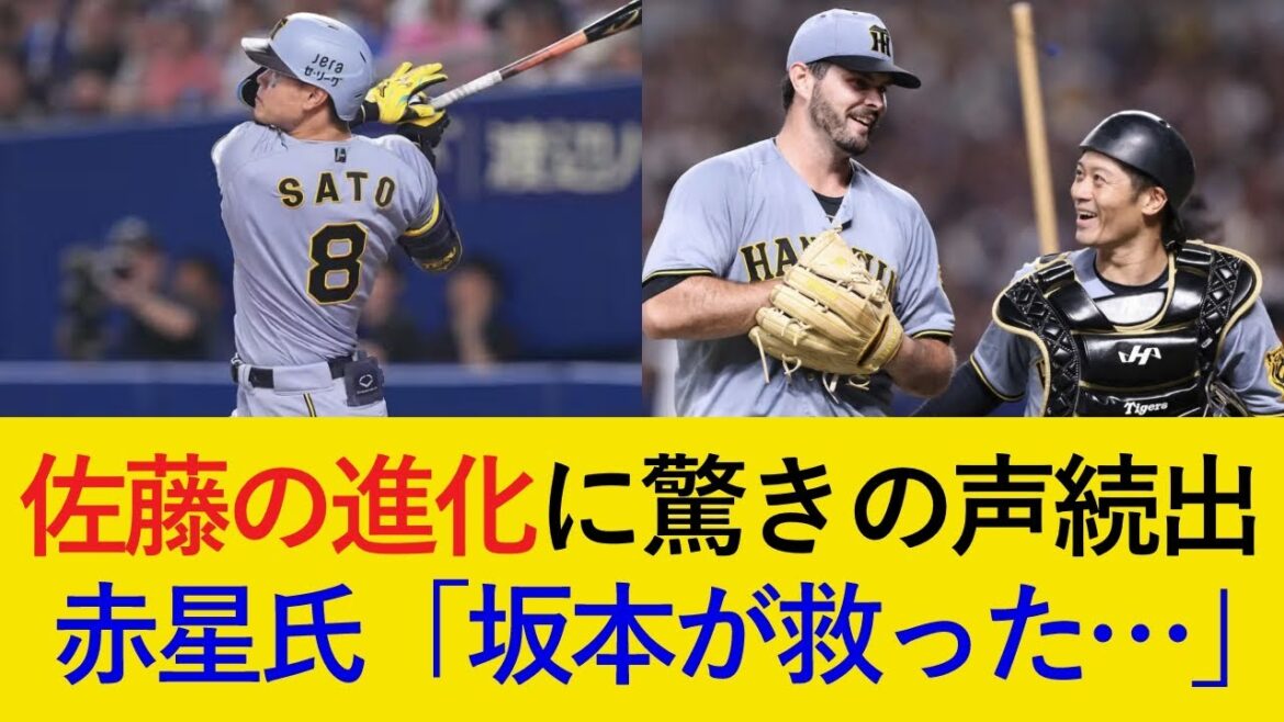 劇的HRを放った佐藤輝明の進化に驚きの声が続出!坂本の隠れたファインプレーも【阪神タイガース】 劇的HRを放った佐藤輝明の進化に驚きの声が続出!坂本の隠れたファインプレーも【阪神タイガース】