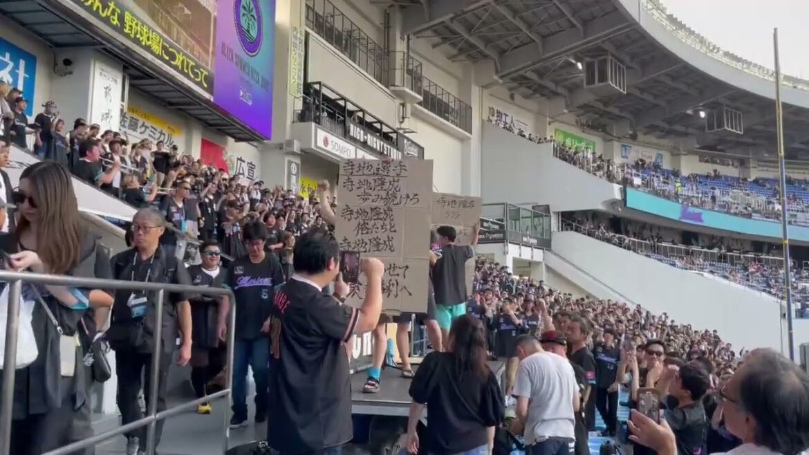 千葉ロッテマリーンズ 寺地隆成 新応援歌