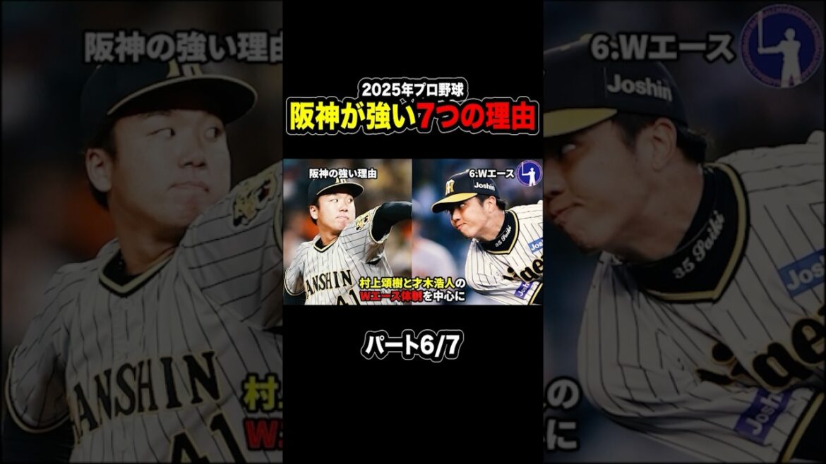 【なぜ独走?】阪神タイガースが強い7つの理由!パート6/7 #プロ野球 #baseball #野球 #阪神タイガース #藤川監督 【なぜ独走?】阪神タイガースが強い7つの理由!パート6/7 #プロ野球 #baseball #野球 #阪神タイガース #藤川監督