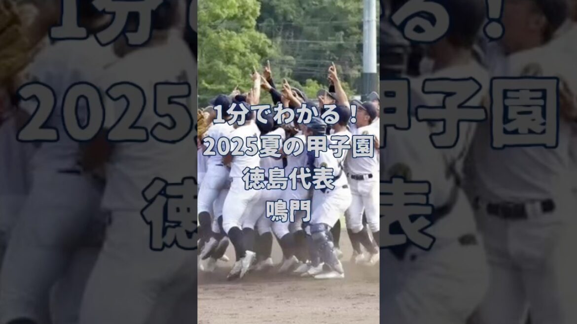 【夏の甲子園2025】徳島・鳴門が1分でわかる！#高校野球 #野球 #甲子園 #鳴門