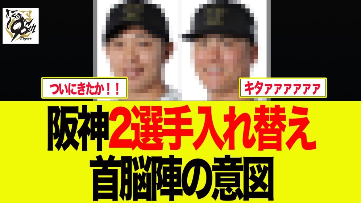 【阪神】阪神2選手入れ替え首脳陣の意図 阪神ファンの反応集 【阪神】阪神2選手入れ替え首脳陣の意図 阪神ファンの反応集
