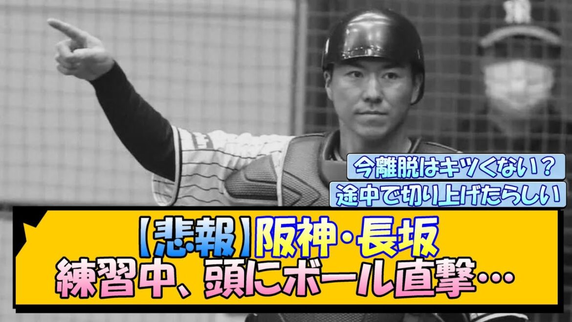 【悲報】阪神・長坂 練習中、頭にボール直撃…